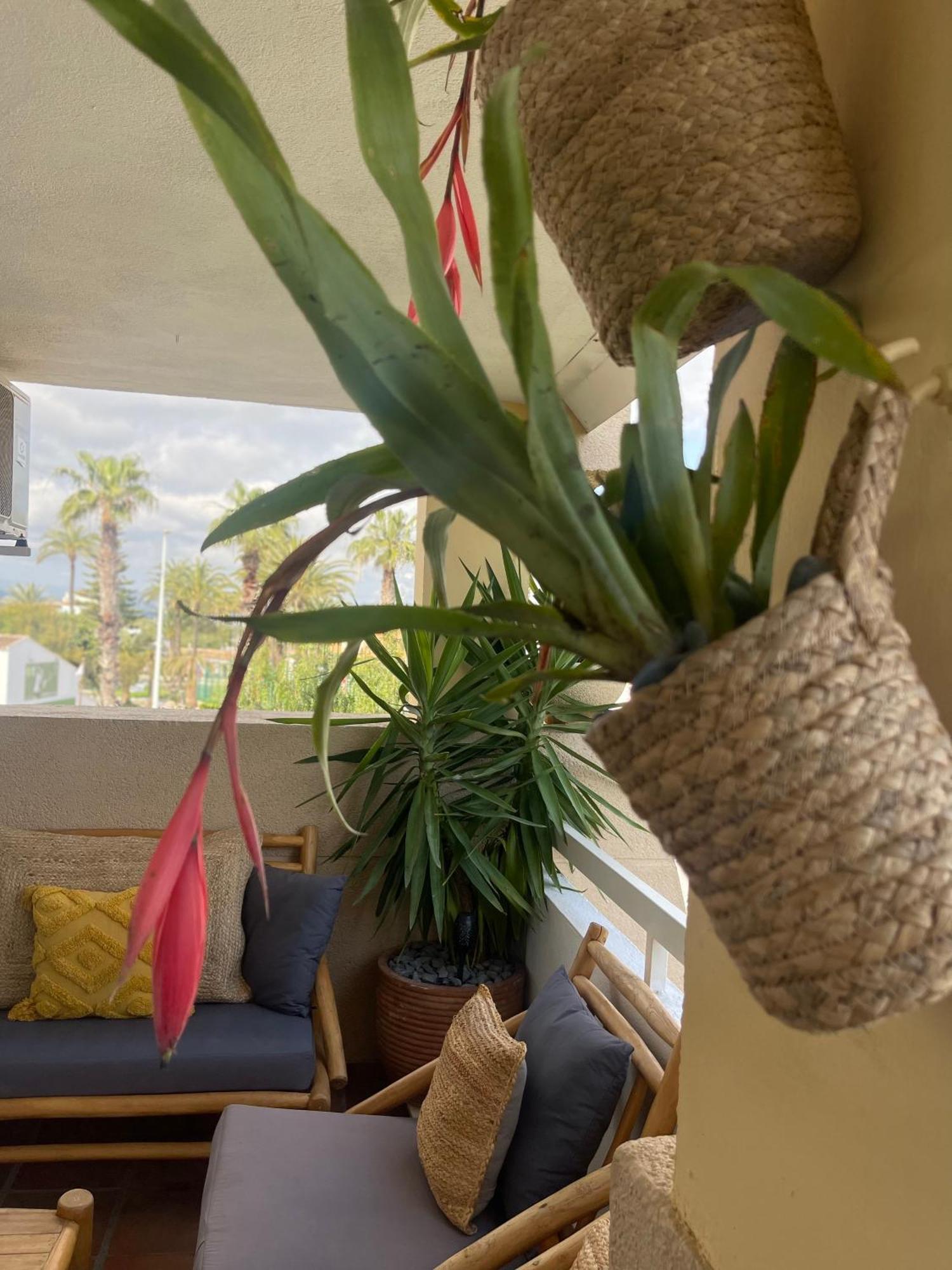 The Beach House Playa Del Arenal Javea - Pool And Garden Steps From The Beach Platja de Larenal Ngoại thất bức ảnh
